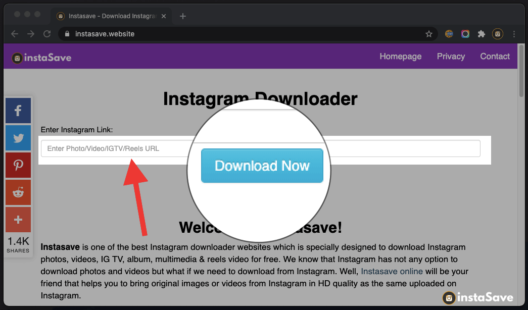 instagram video downloader in gallery